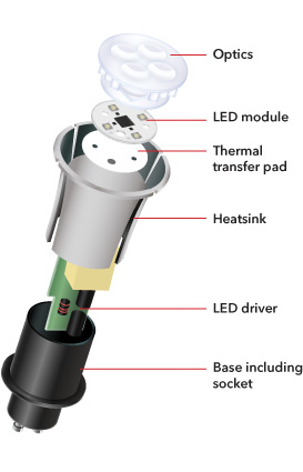 Bulb